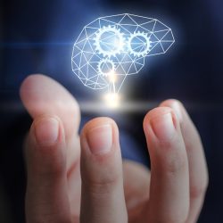 WhatsApp Image 2025-10-29 at 18.31.00